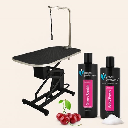 Picture of Helios Hydraulic Grooming Table + 2 Free Groom Professional